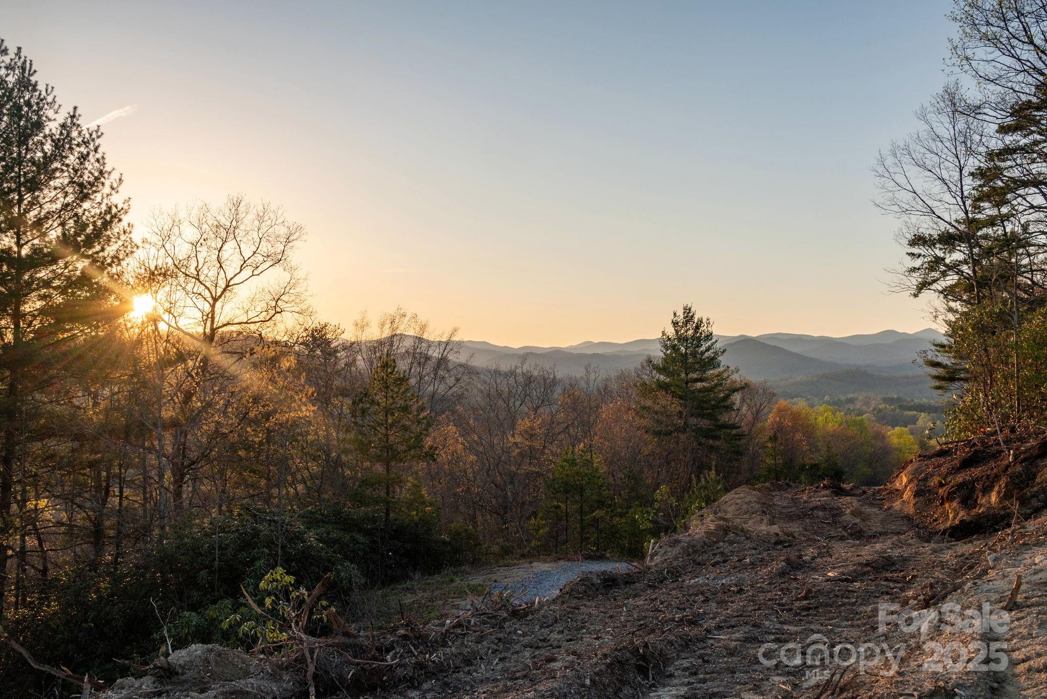 Lot # 1 Masterpiece View Drive Hendersonville NC 28739