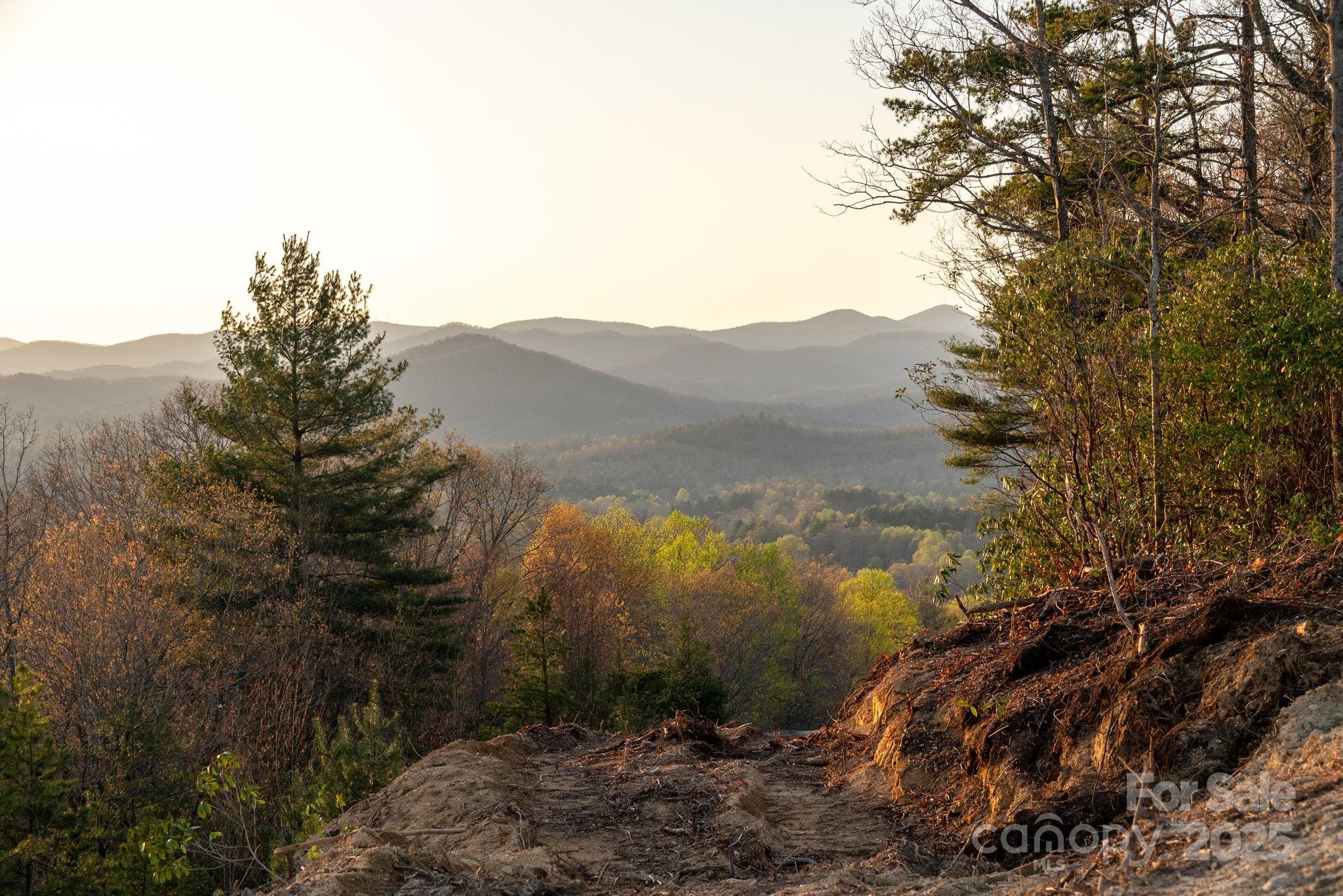 Lot # 1 Masterpiece View Drive Hendersonville NC 28739