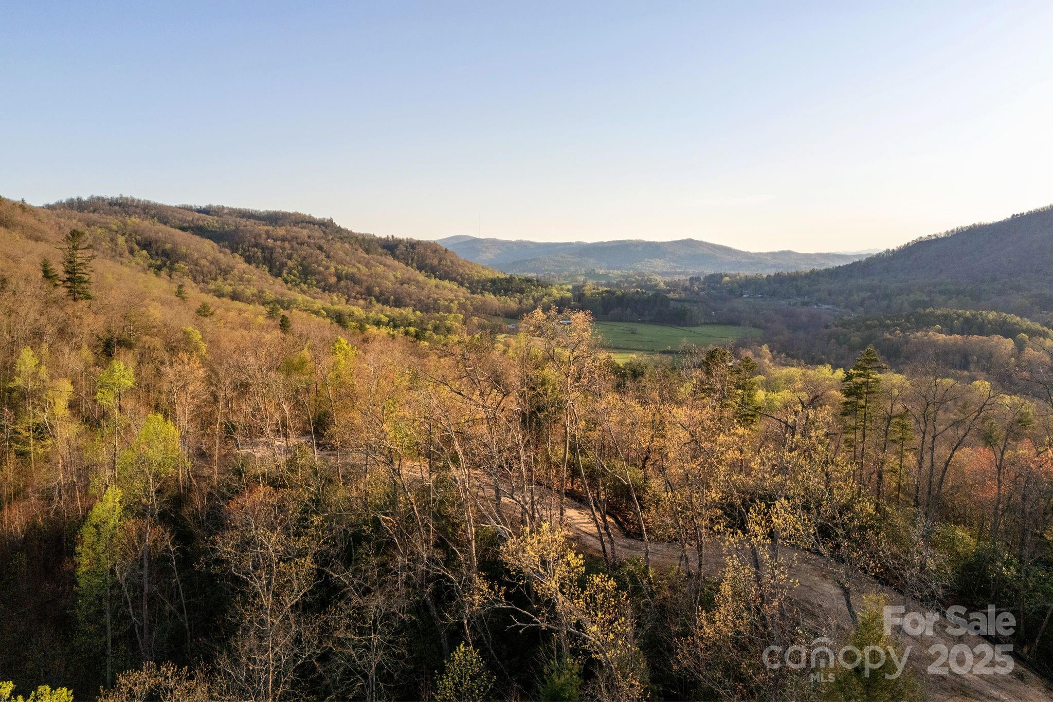 Lot # 1 Masterpiece View Drive Hendersonville NC 28739
