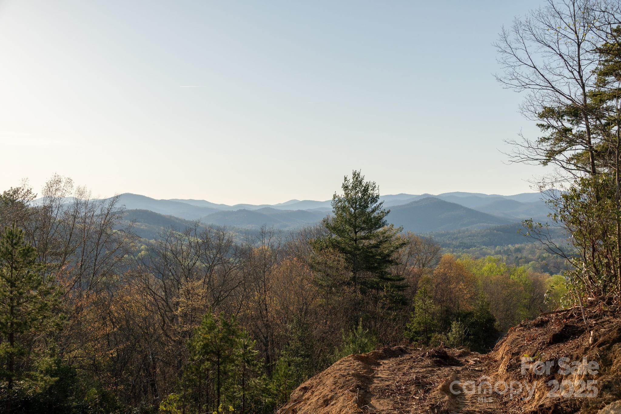 Lot # 1 Masterpiece View Drive Hendersonville NC 28739
