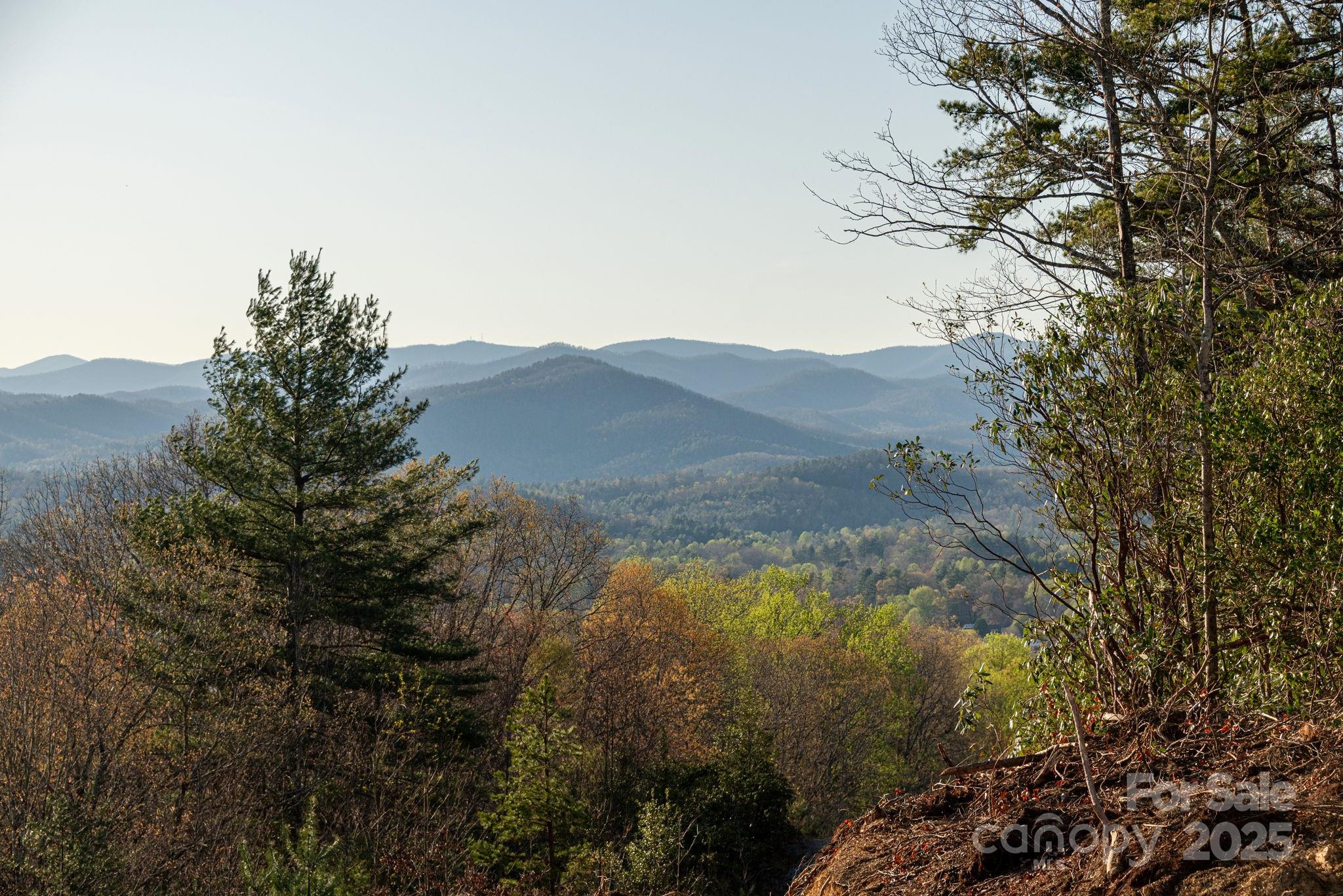 Lot # 1 Masterpiece View Drive Hendersonville NC 28739