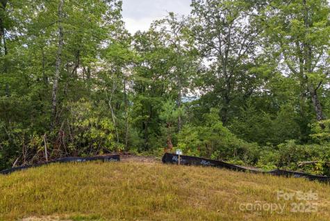 Lot # 1 Masterpiece View Drive Hendersonville NC 28739