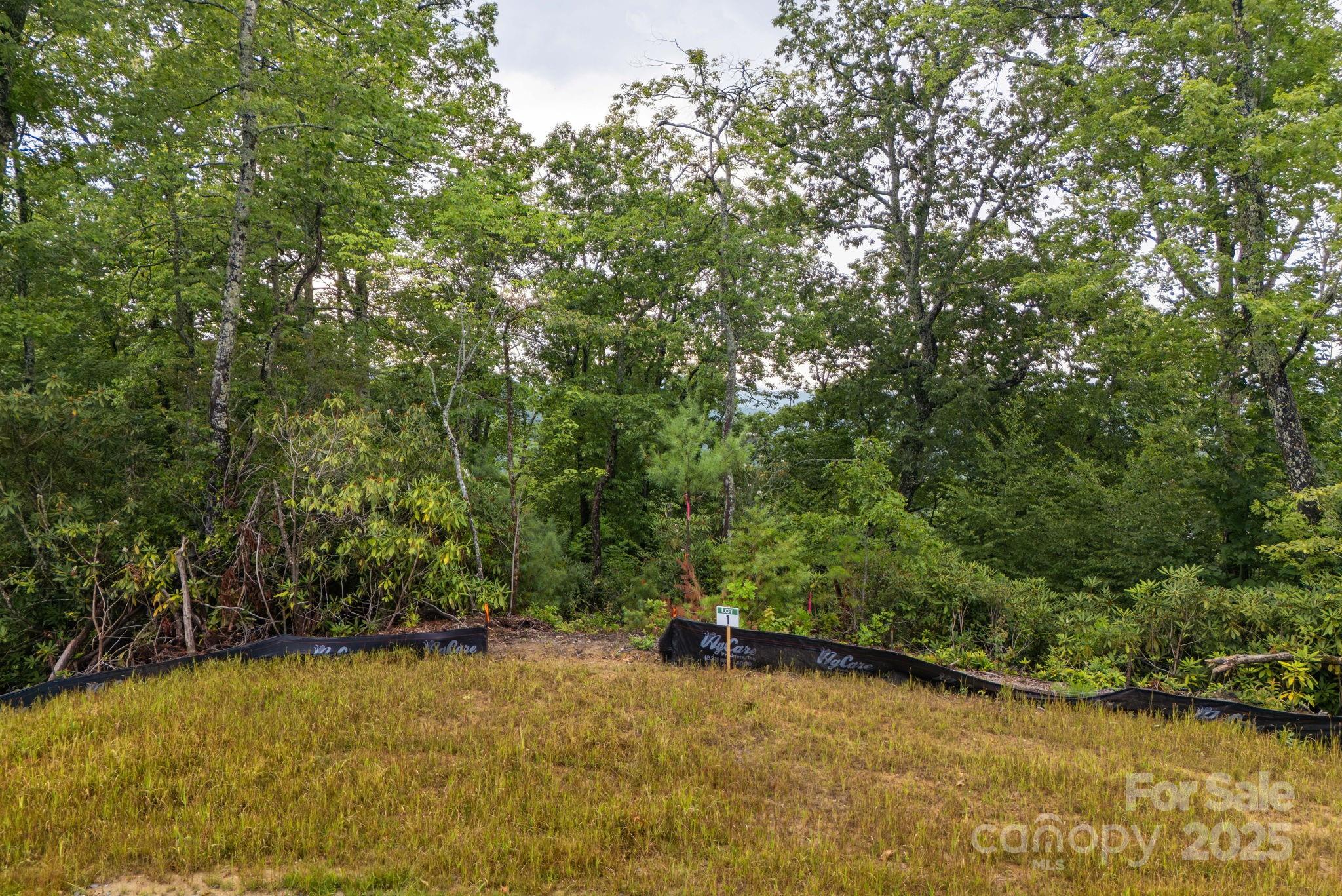 Lot # 1 Masterpiece View Drive Hendersonville NC 28739