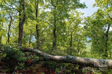 Lot # 1 Masterpiece View Drive Hendersonville NC 28739