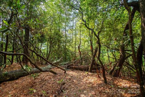 Lot # 1 Masterpiece View Drive Hendersonville NC 28739