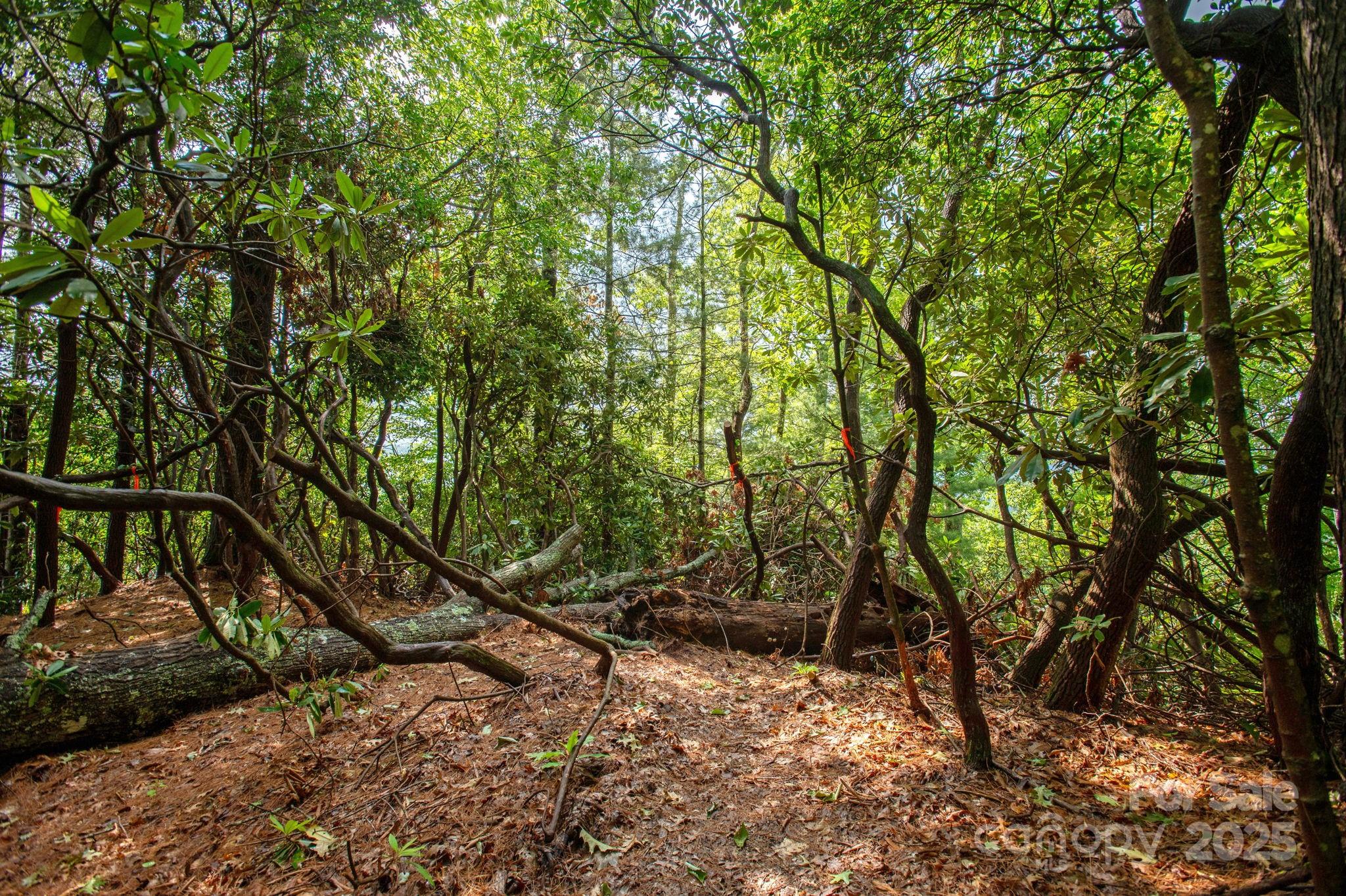 Lot # 1 Masterpiece View Drive Hendersonville NC 28739
