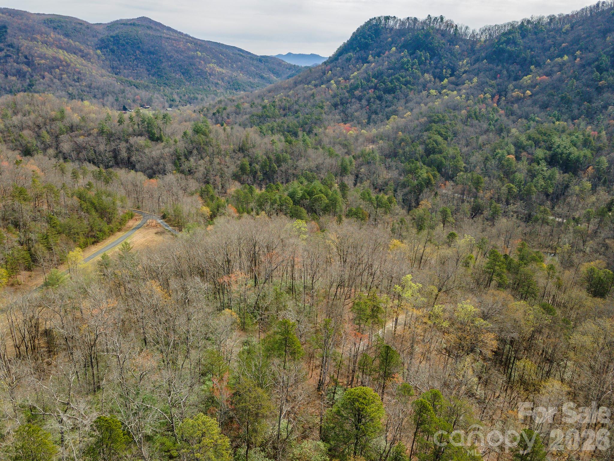 99999 Trillium Lane Lake Lure NC 28746