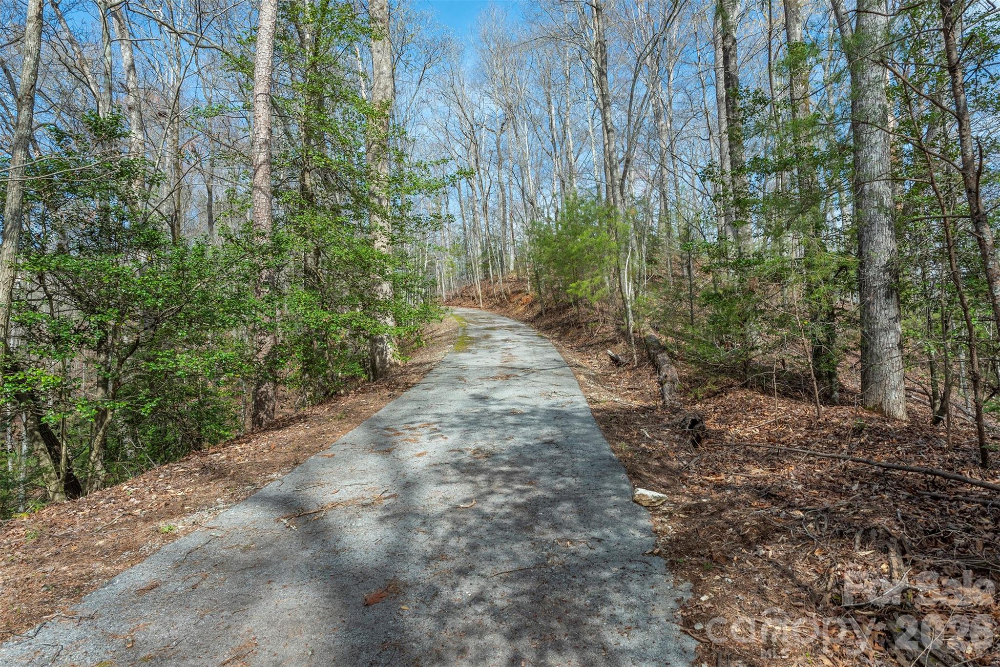 99999 Trillium Lane Lake Lure NC 28746
