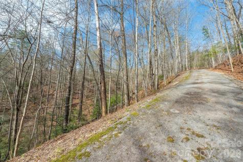 99999 Trillium Lane Lake Lure NC 28746