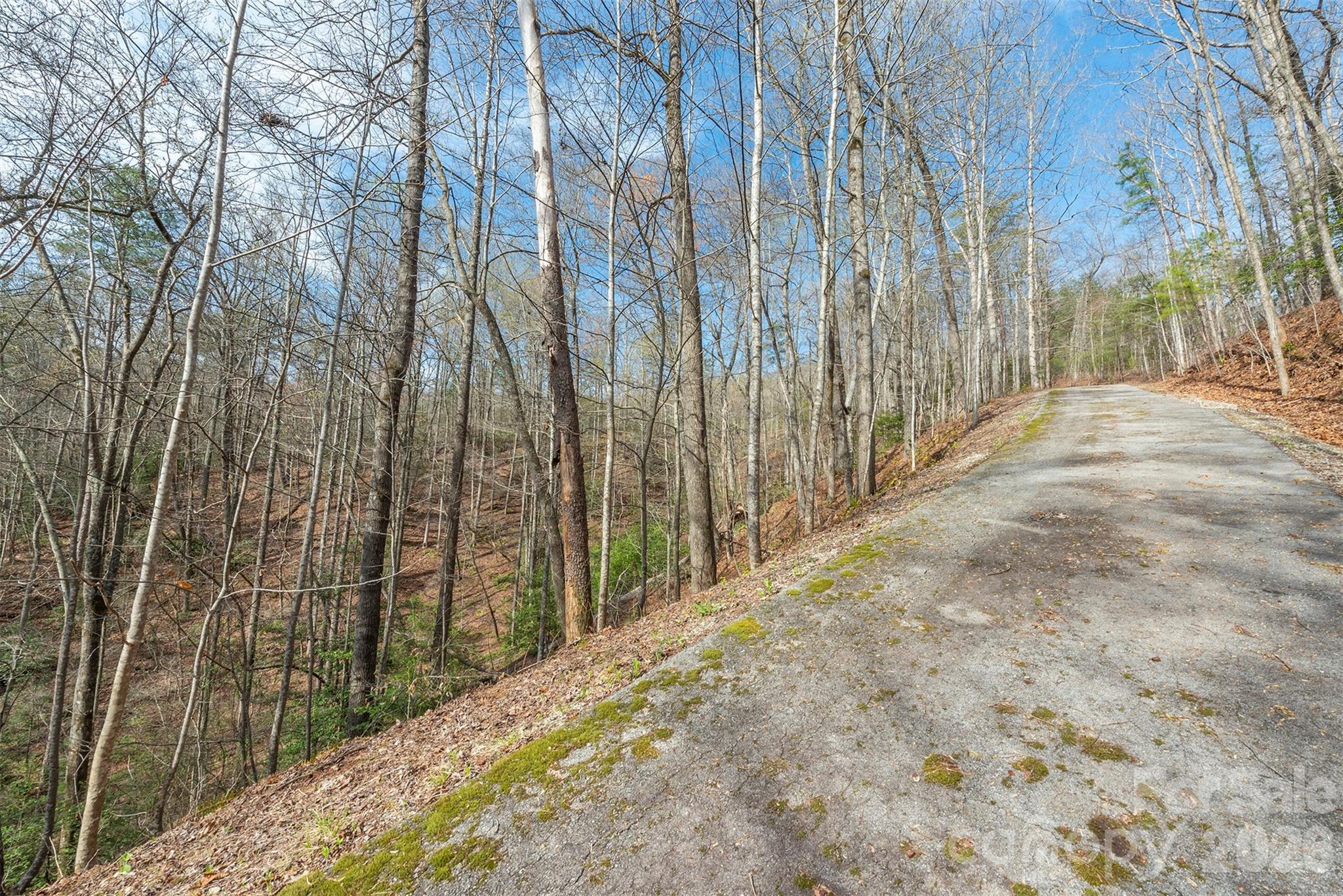 99999 Trillium Lane Lake Lure NC 28746