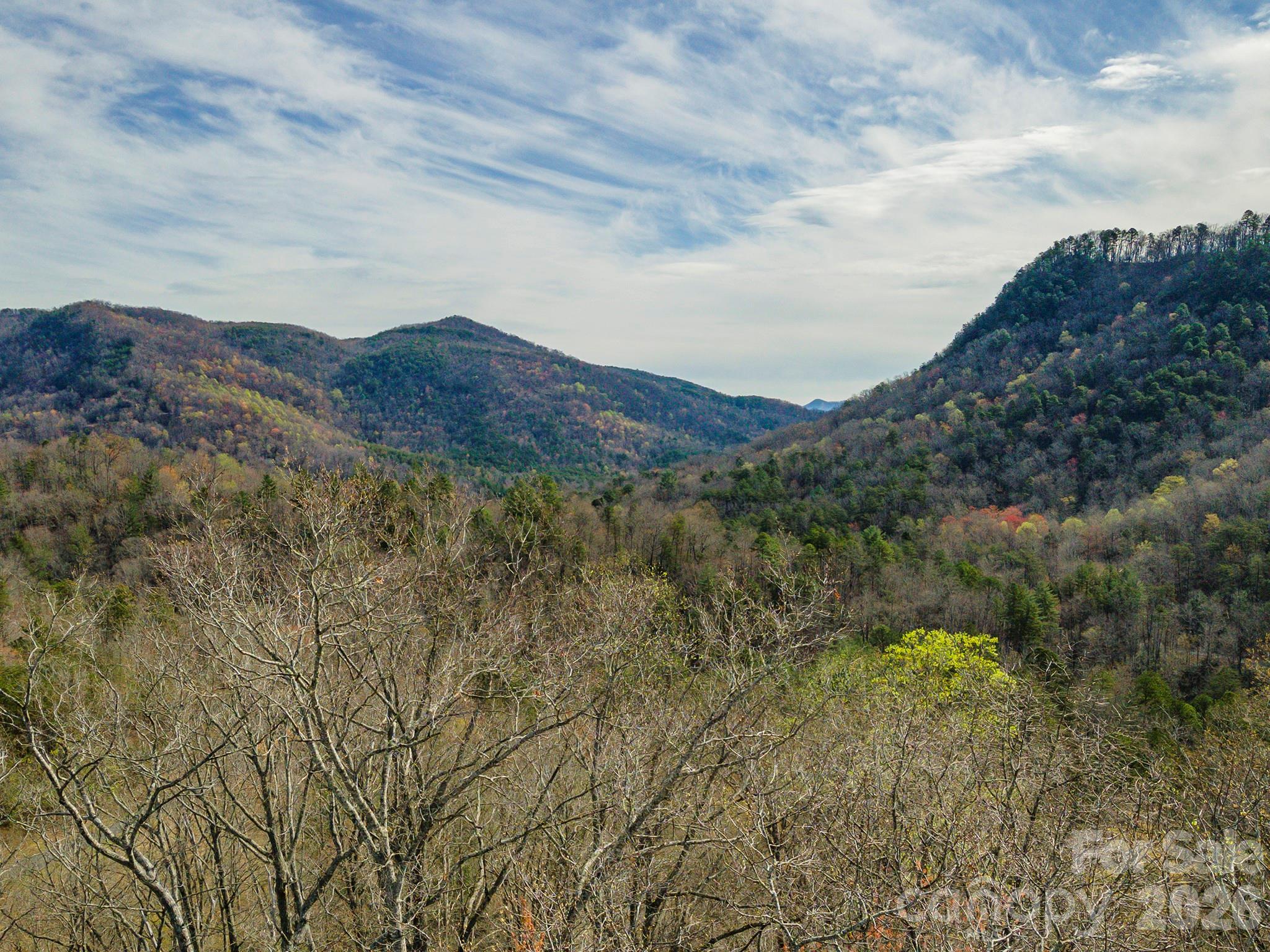 99999 Trillium Lane Lake Lure NC 28746