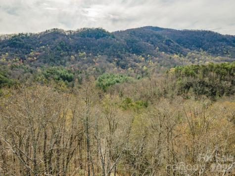99999 Trillium Lane Lake Lure NC 28746