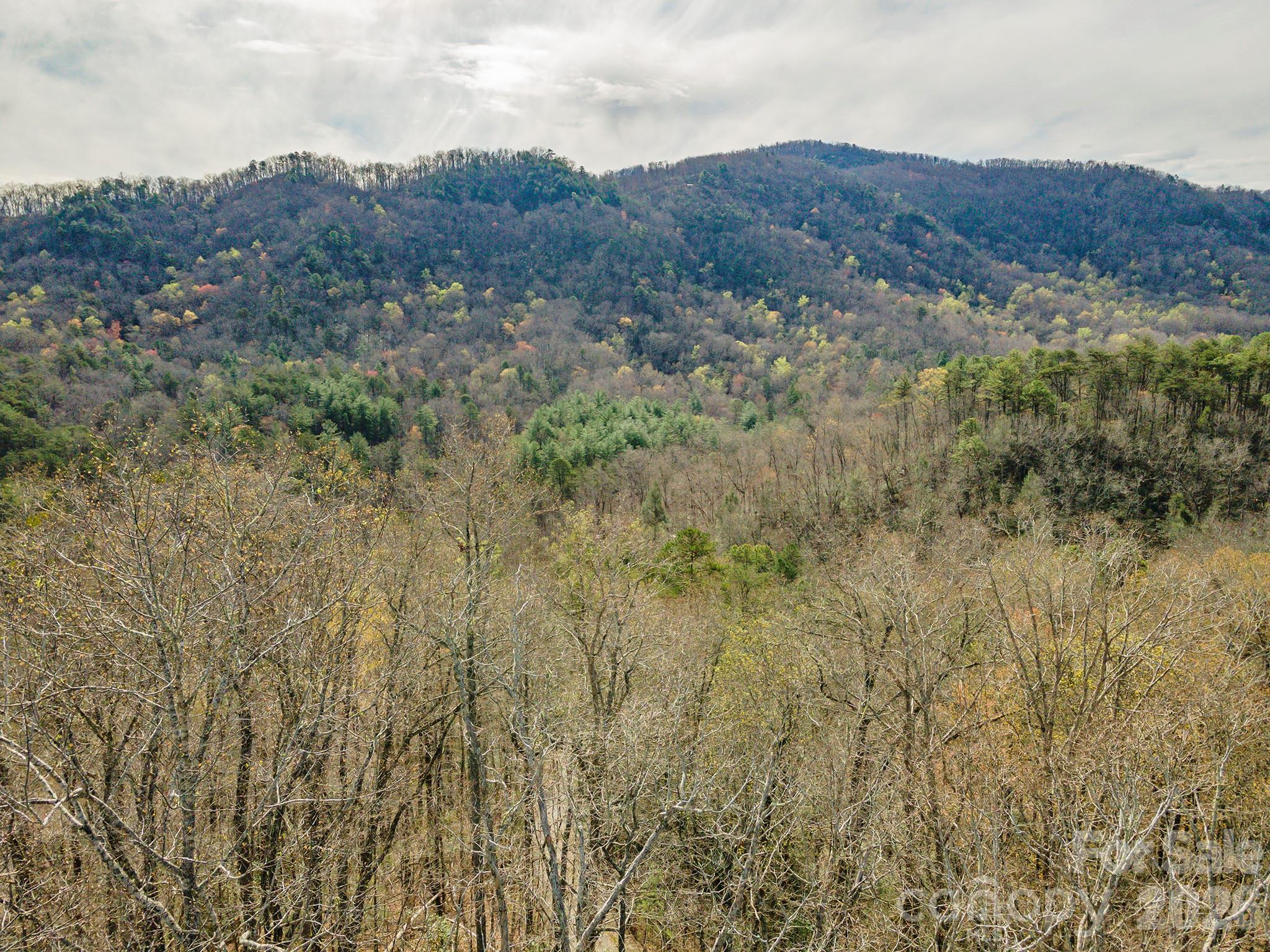 99999 Trillium Lane Lake Lure NC 28746