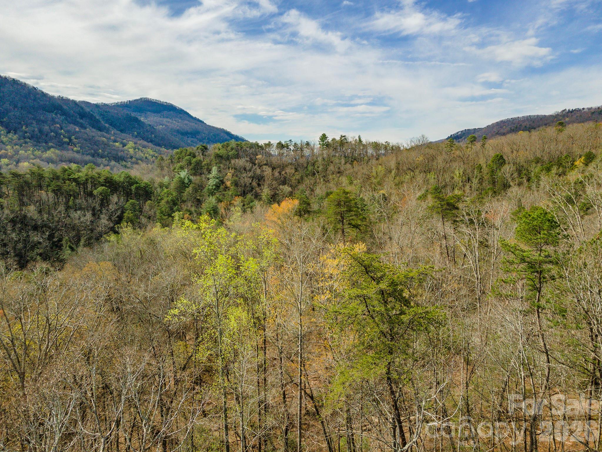 99999 Trillium Lane Lake Lure NC 28746