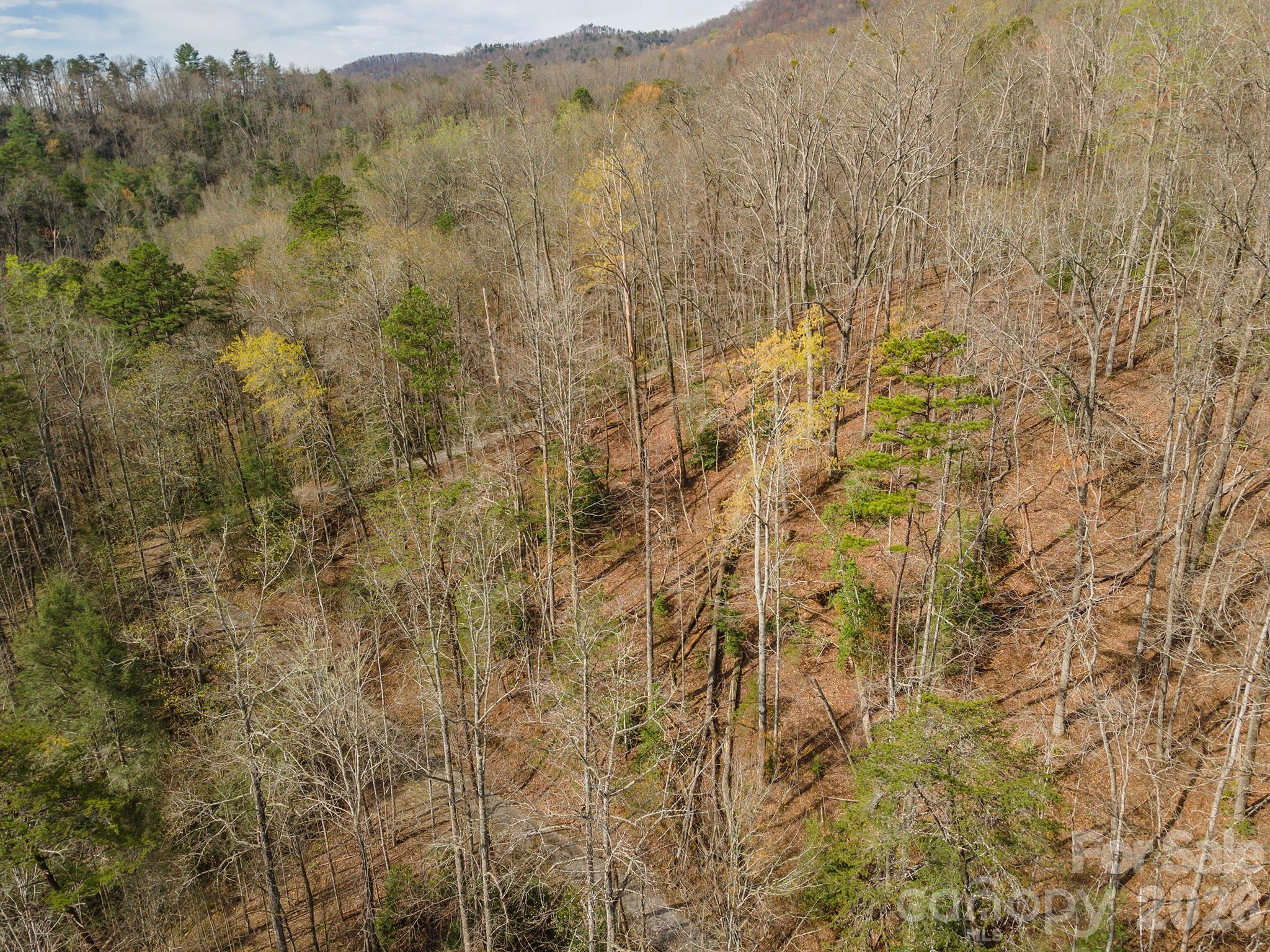 99999 Trillium Lane Lake Lure NC 28746