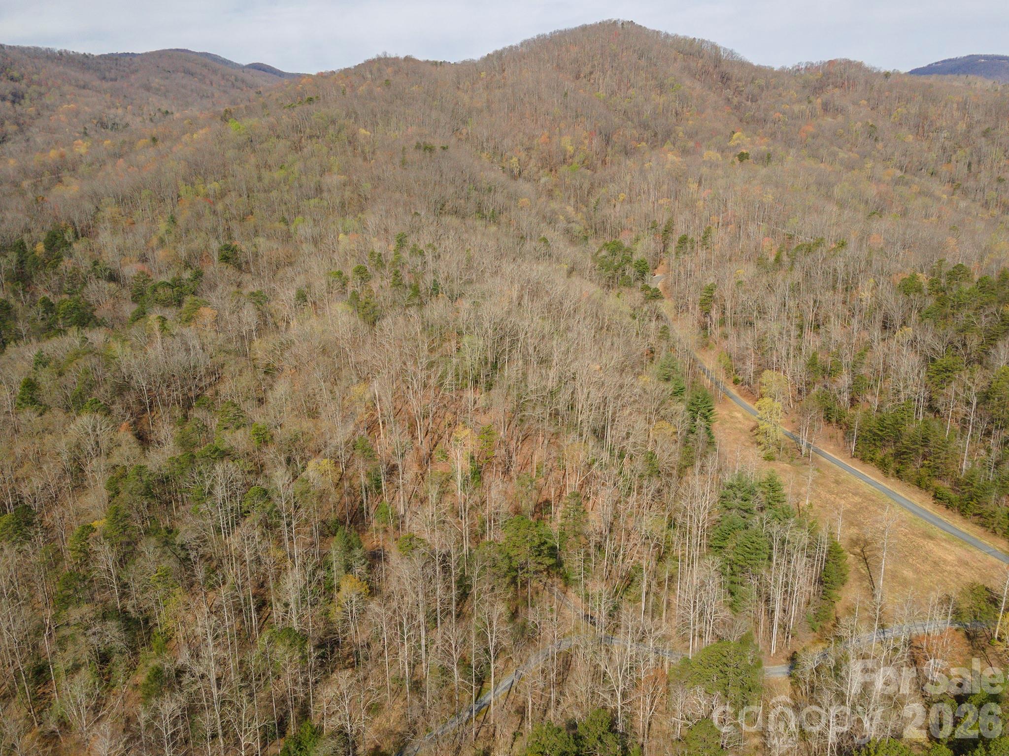 99999 Trillium Lane Lake Lure NC 28746