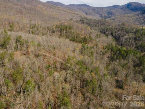 99999 Trillium Lane Lake Lure NC 28746