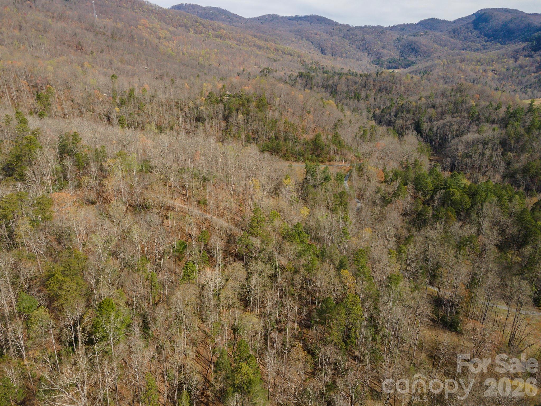 99999 Trillium Lane Lake Lure NC 28746