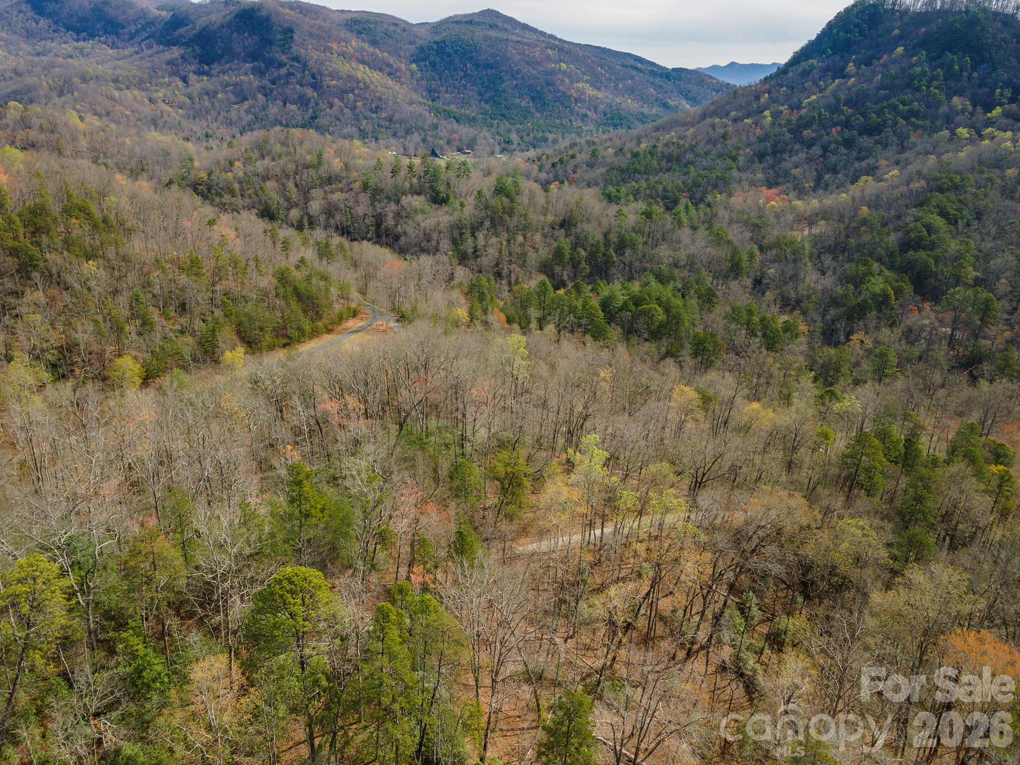 99999 Trillium Lane Lake Lure NC 28746