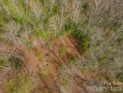 99999 Trillium Lane Lake Lure NC 28746