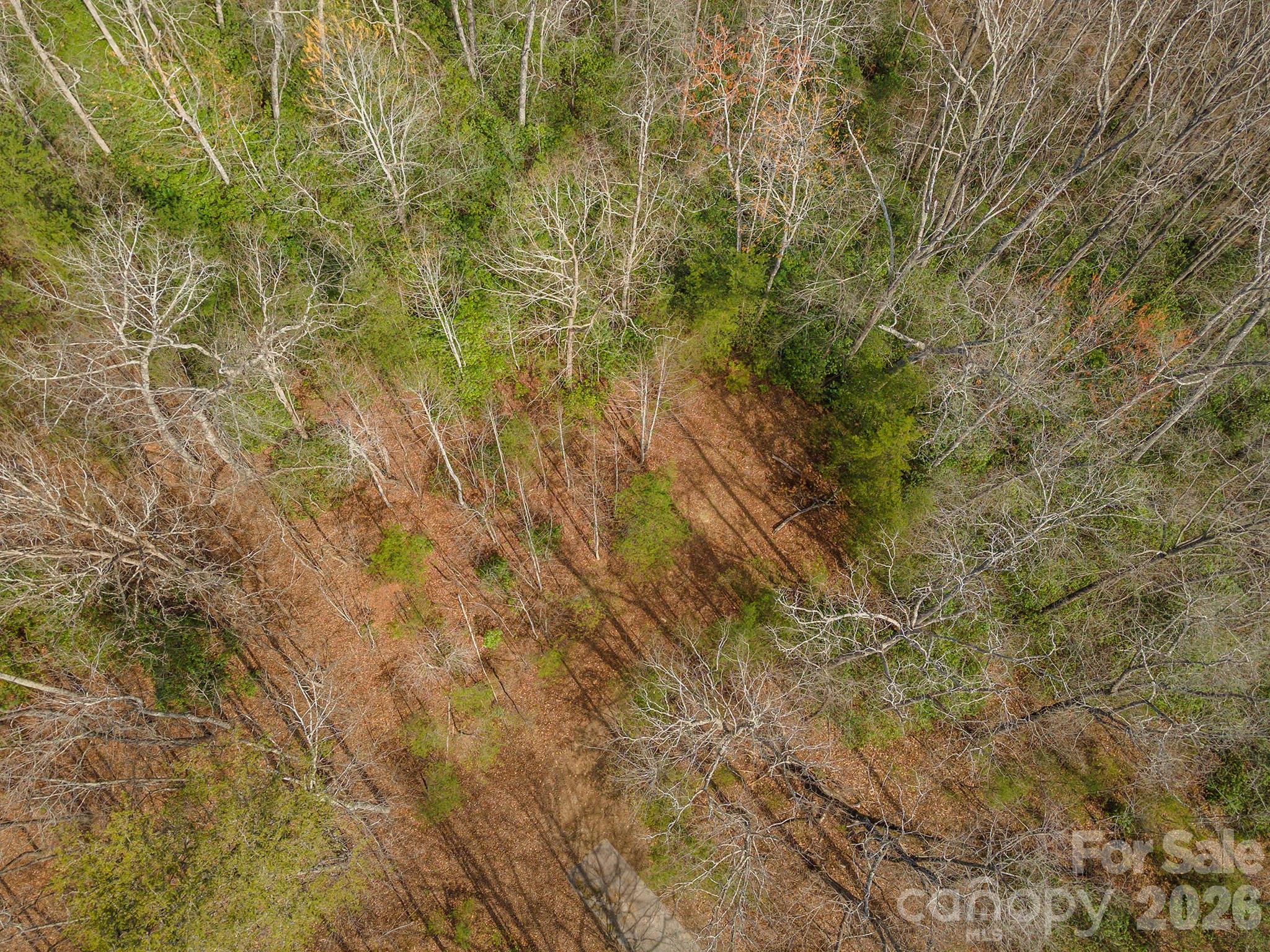 99999 Trillium Lane Lake Lure NC 28746