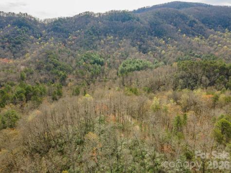 99999 Trillium Lane Lake Lure NC 28746