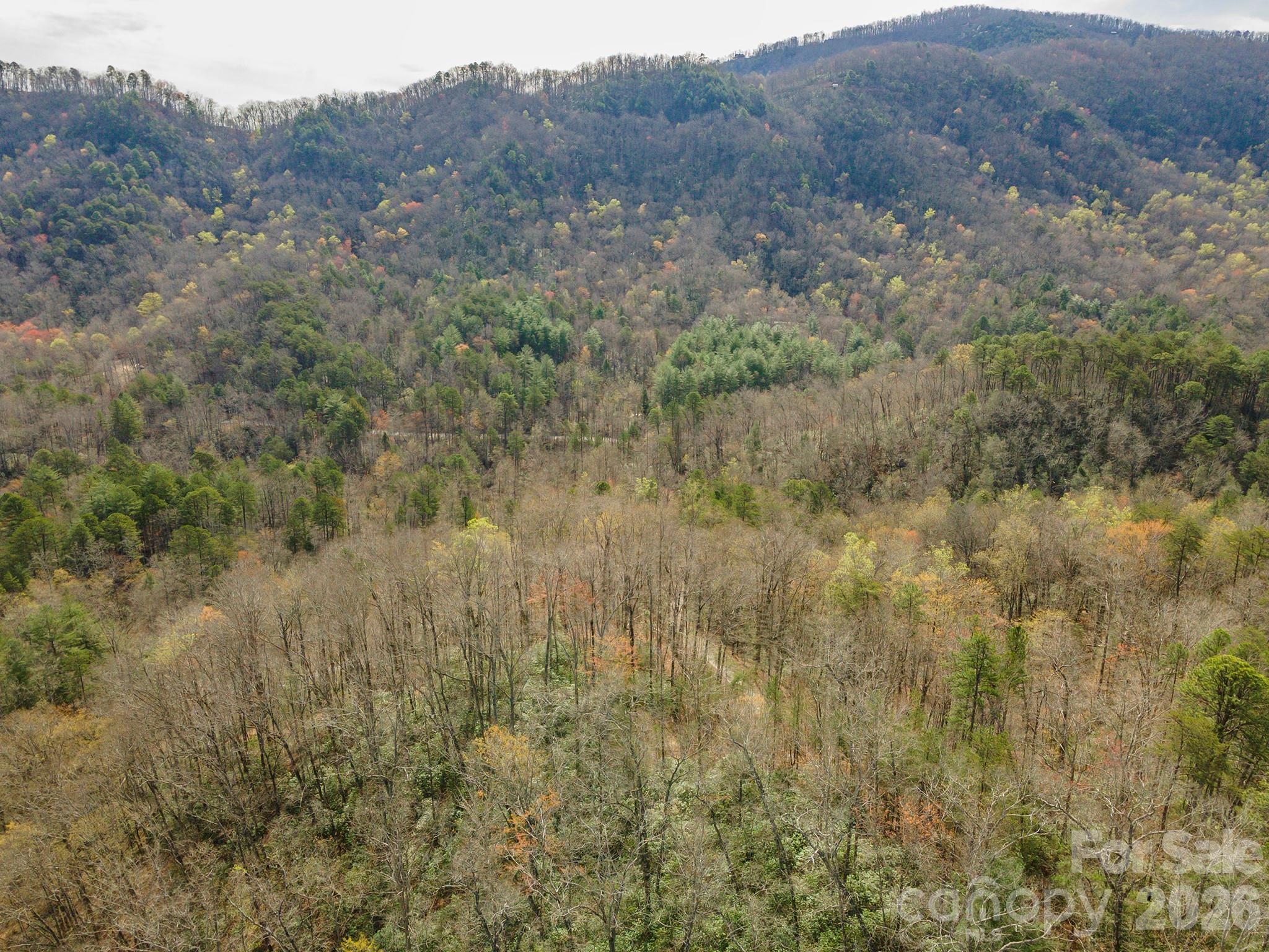 99999 Trillium Lane Lake Lure NC 28746