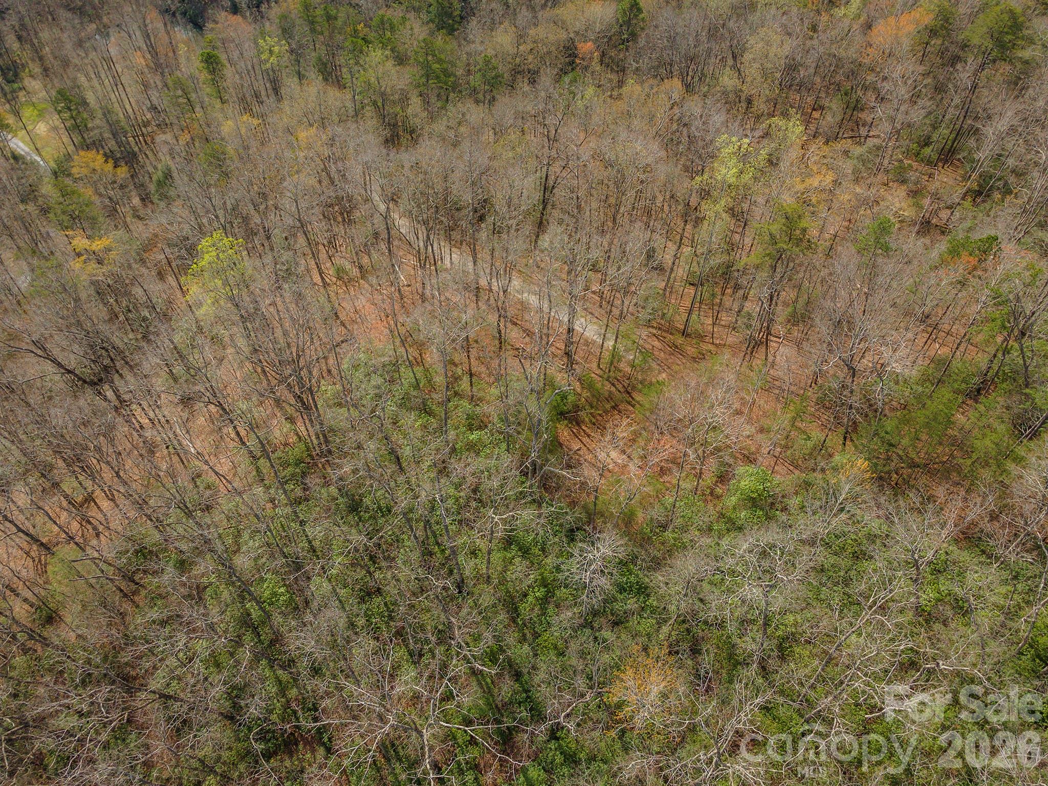 99999 Trillium Lane Lake Lure NC 28746