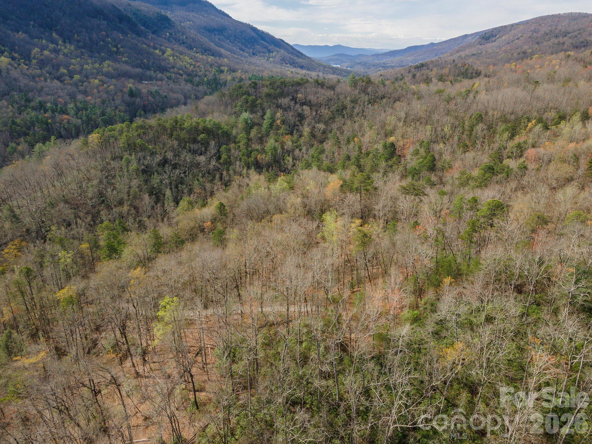 99999 Trillium Lane Lake Lure NC 28746