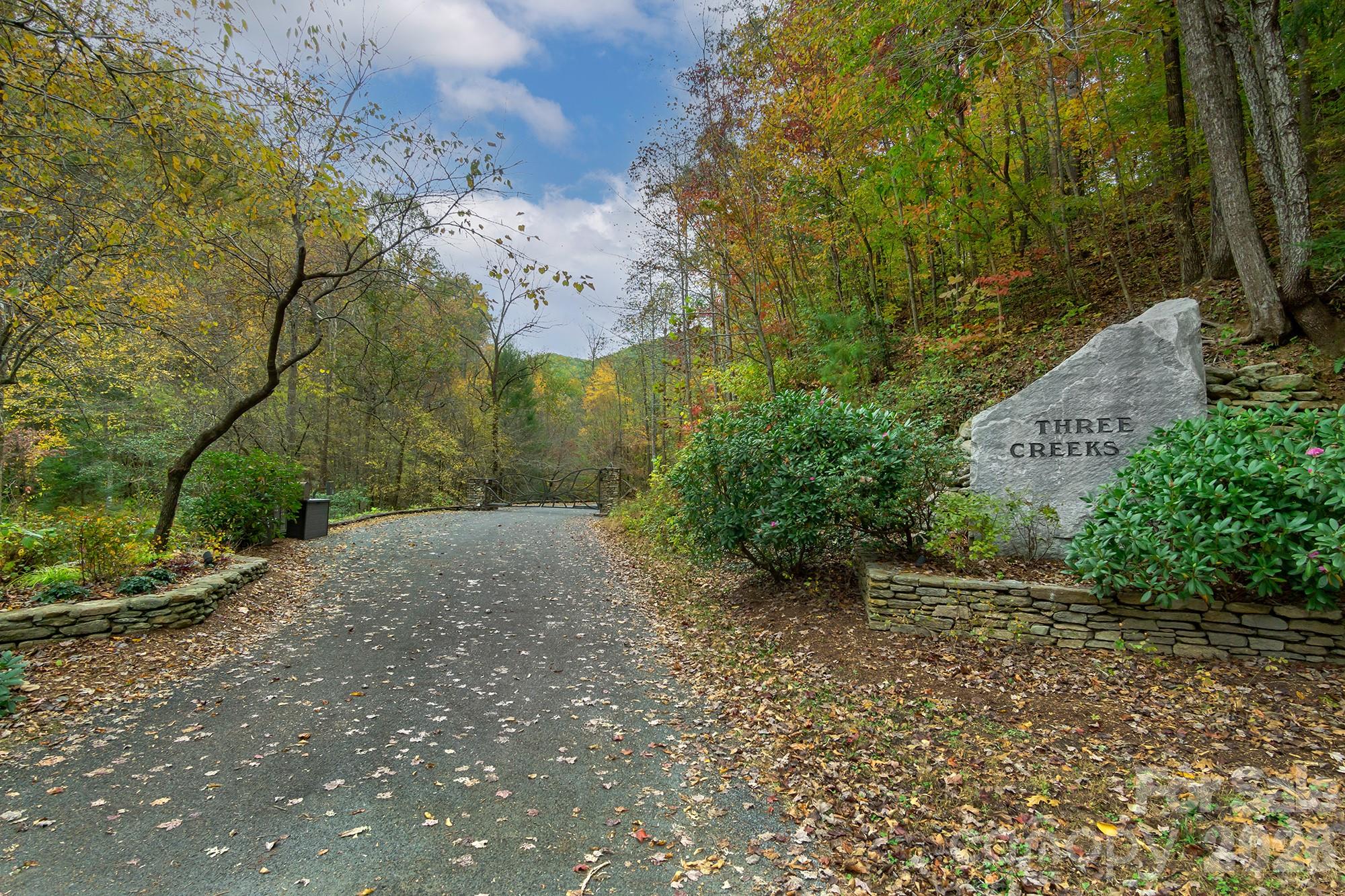 99999 Trillium Lane Lake Lure NC 28746