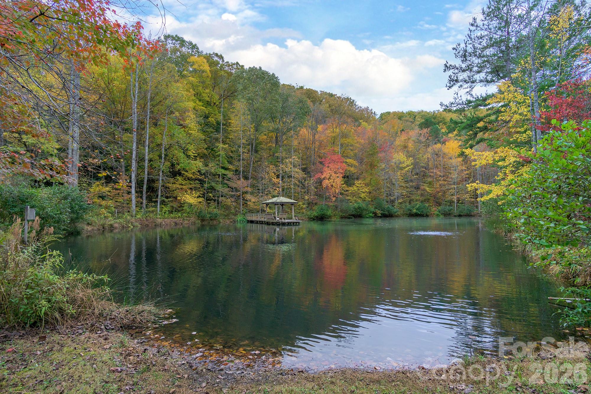 99999 Trillium Lane Lake Lure NC 28746