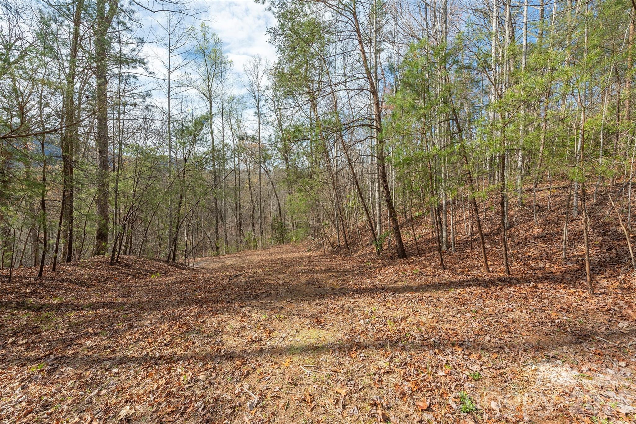 99999 Trillium Lane Lake Lure NC 28746