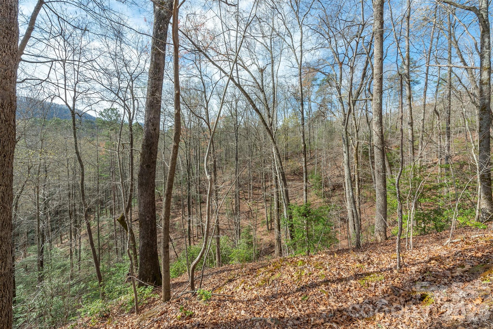 99999 Trillium Lane Lake Lure NC 28746