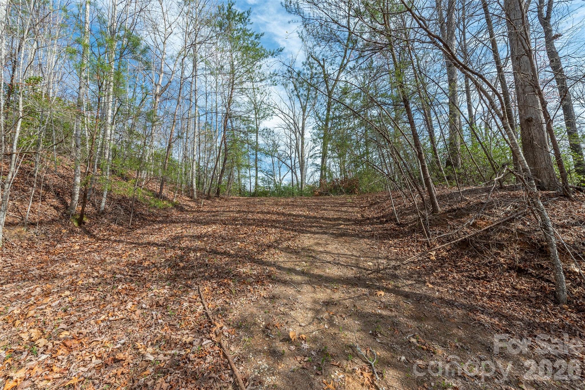 99999 Trillium Lane Lake Lure NC 28746