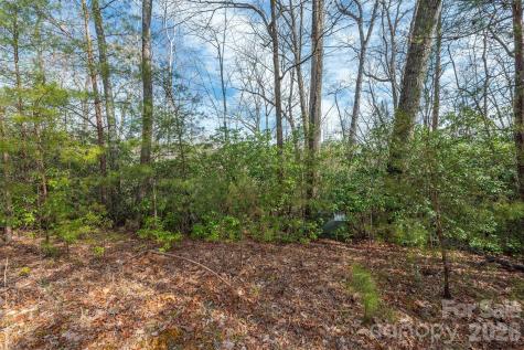 99999 Trillium Lane Lake Lure NC 28746
