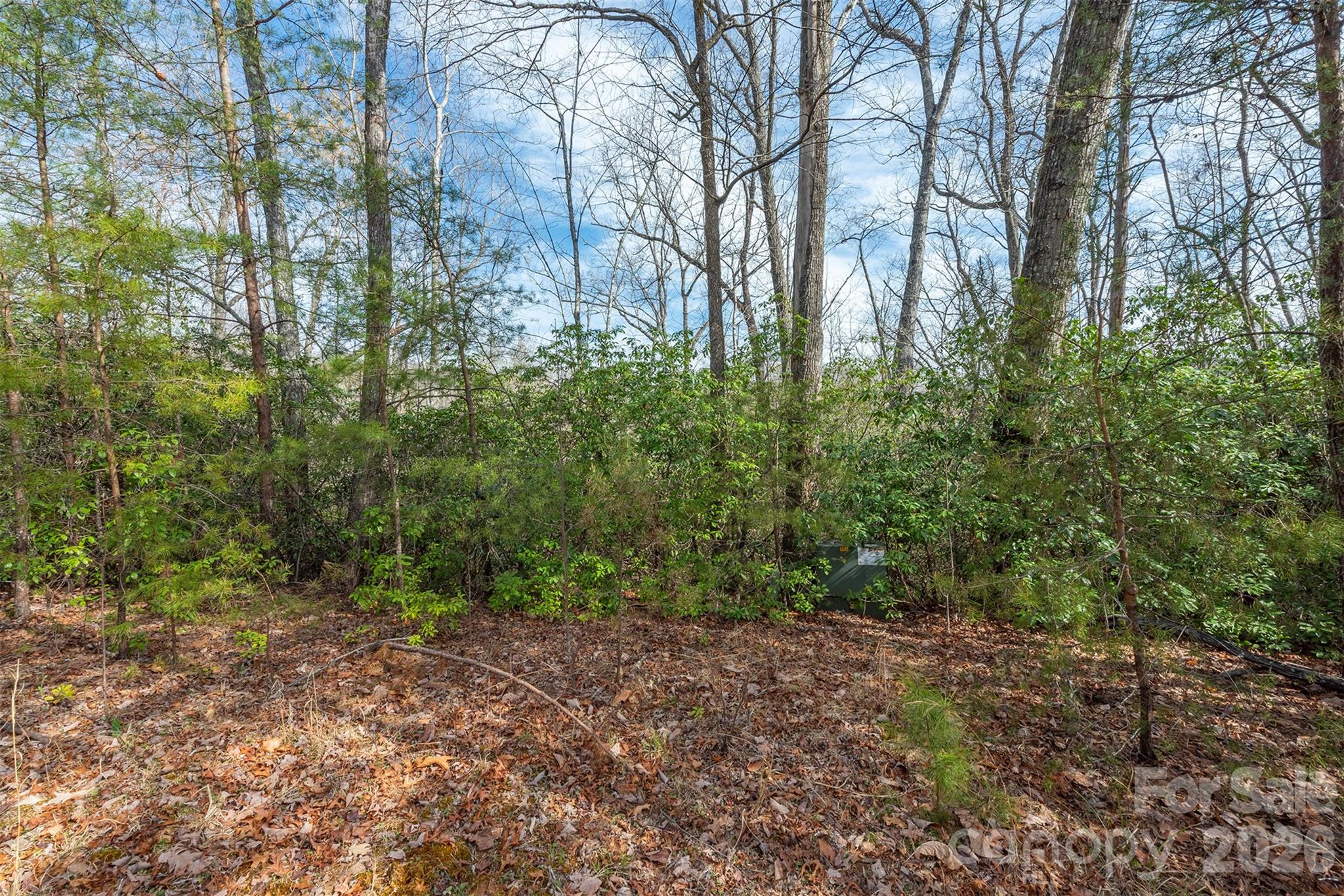 99999 Trillium Lane Lake Lure NC 28746