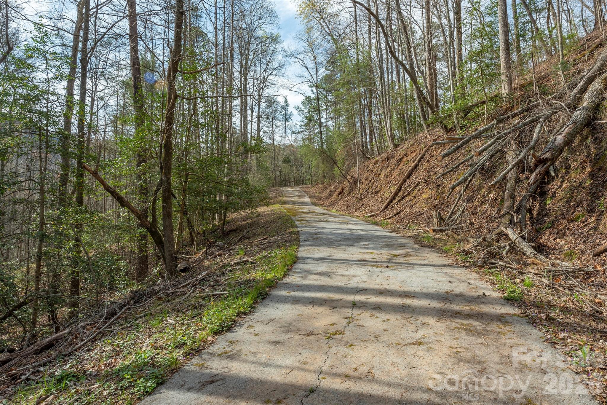 99999 Trillium Lane Lake Lure NC 28746