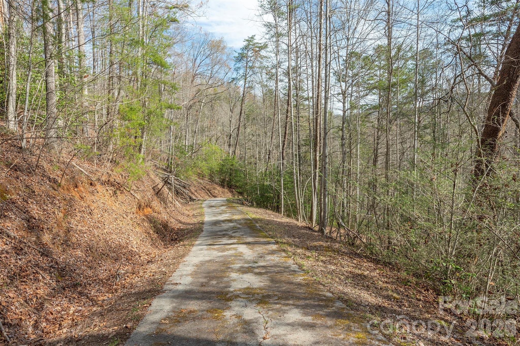 99999 Trillium Lane Lake Lure NC 28746