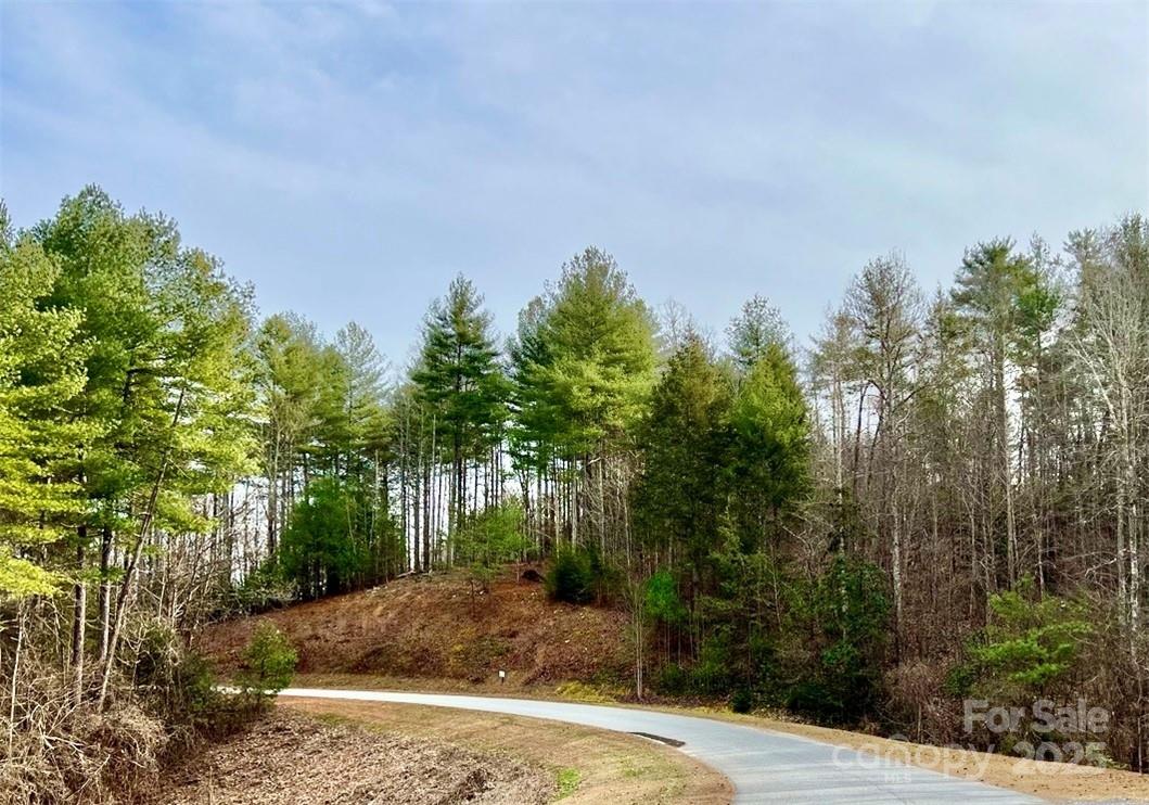 3.16 Acres Lot 77, 1712 Round Mountain Parkway Lenoir NC 28645