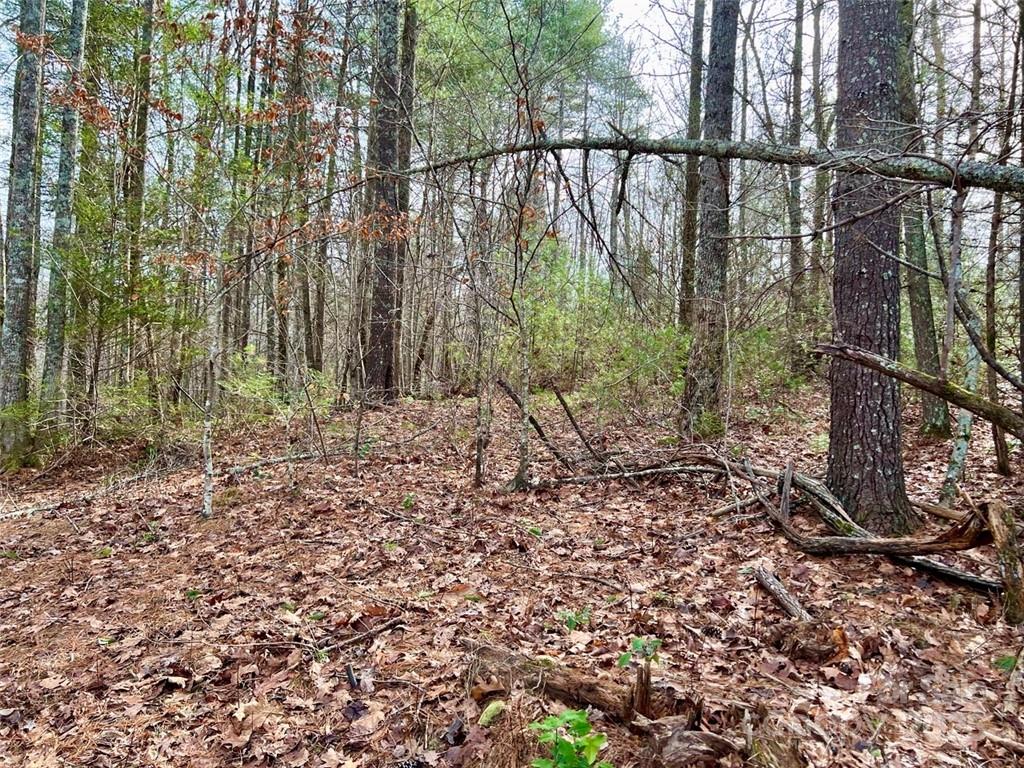 3.16 Acres Lot 77, 1712 Round Mountain Parkway Lenoir NC 28645
