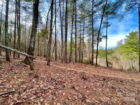 3.16 Acres Lot 77, 1712 Round Mountain Parkway Lenoir NC 28645