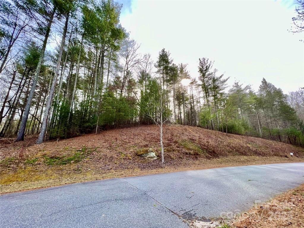 3.16 Acres Lot 77, 1712 Round Mountain Parkway Lenoir NC 28645