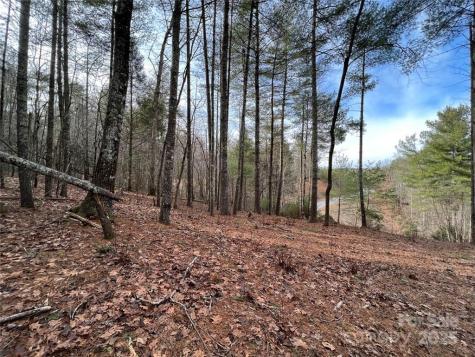 3.16 Acres Lot 77, 1712 Round Mountain Parkway Lenoir NC 28645
