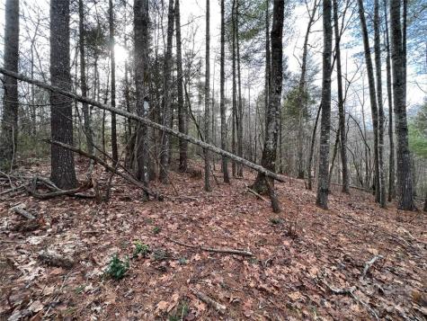 3.16 Acres Lot 77, 1712 Round Mountain Parkway Lenoir NC 28645