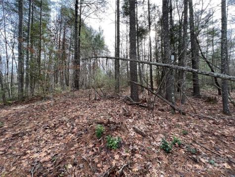 3.16 Acres Lot 77, 1712 Round Mountain Parkway Lenoir NC 28645