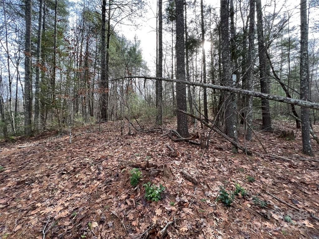 3.16 Acres Lot 77, 1712 Round Mountain Parkway Lenoir NC 28645