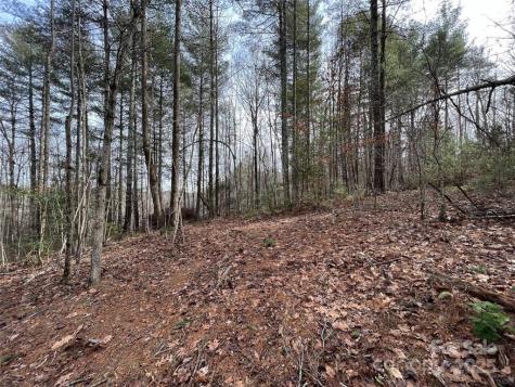 3.16 Acres Lot 77, 1712 Round Mountain Parkway Lenoir NC 28645