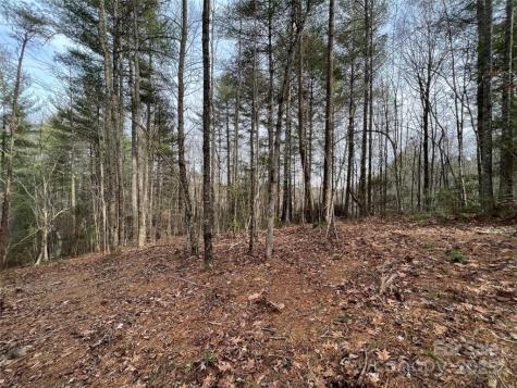 3.16 Acres Lot 77, 1712 Round Mountain Parkway Lenoir NC 28645