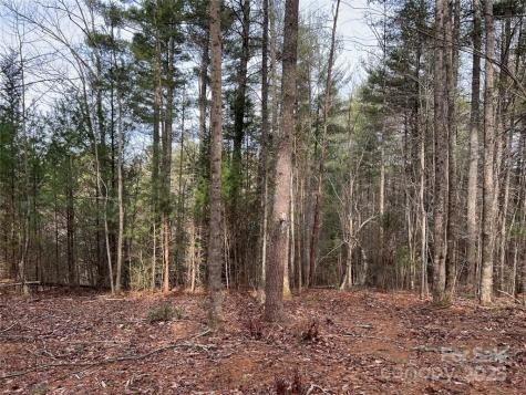 3.16 Acres Lot 77, 1712 Round Mountain Parkway Lenoir NC 28645