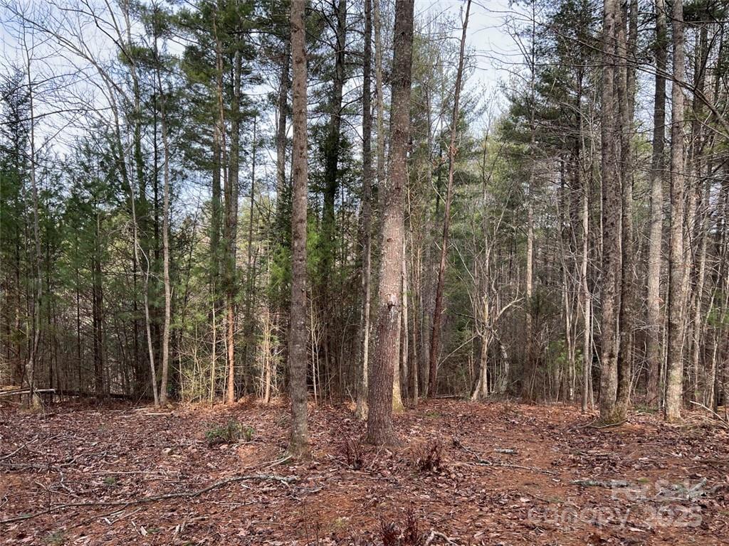 3.16 Acres Lot 77, 1712 Round Mountain Parkway Lenoir NC 28645